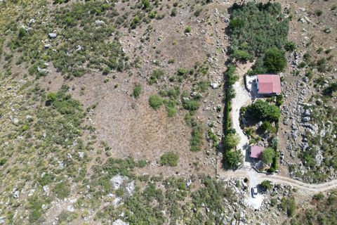 Terra a Altofonte, Palermo, Altofonte - € 5.000 | Ref: 3765 - foto 10