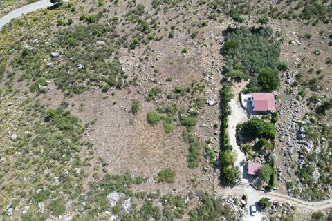 Terra a Altofonte, Palermo, Altofonte - € 5.000 | Ref: 3765 - foto 11