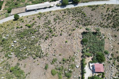 Terra a Altofonte, Palermo, Altofonte - € 5.000 | Ref: 3765 - foto 12
