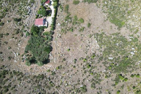 Terra a Altofonte, Palermo, Altofonte - € 5.000 | Ref: 3765 - foto 13