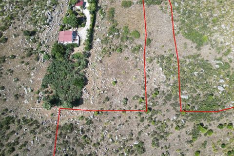 Terra a Altofonte, Palermo, Altofonte - € 5.000 | Ref: 3765 - foto 14