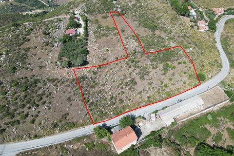 Terra a Altofonte, Palermo, Altofonte - € 5.000 | Ref: 3765 - foto 15