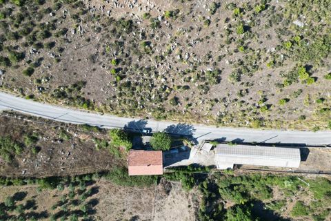 Terra a Altofonte, Palermo, Altofonte - € 5.000 | Ref: 3765 - foto 16