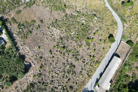 Terra a Altofonte, Palermo, Altofonte - € 5.000 | Ref: 3765 - foto 18