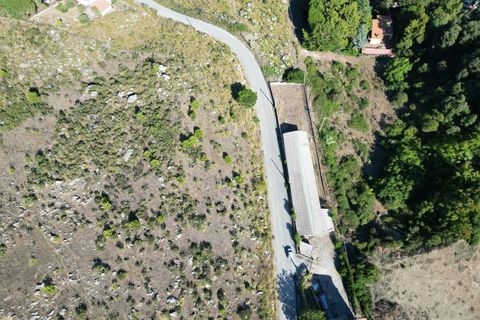 Terra a Altofonte, Palermo, Altofonte - € 5.000 | Ref: 3765 - foto 19