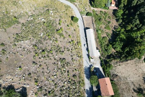 Terra a Altofonte, Palermo, Altofonte - € 5.000 | Ref: 3765 - foto 20