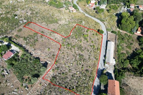 Terra a Altofonte, Palermo, Altofonte - € 5.000 | Ref: 3765 - foto 21