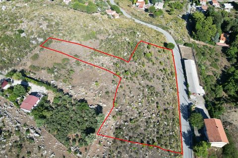 Terra a Altofonte, Palermo, Altofonte - € 5.000 | Ref: 3765 - foto 22