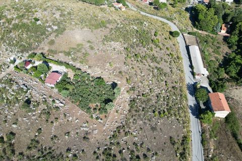 Terra a Altofonte, Palermo, Altofonte - € 5.000 | Ref: 3765 - foto 23