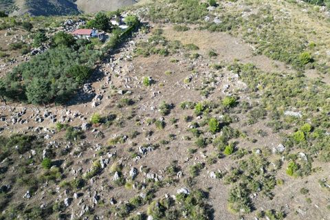 Terra a Altofonte, Palermo, Altofonte - € 5.000 | Ref: 3765 - foto 24