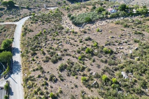 Terra a Altofonte, Palermo, Altofonte - € 5.000 | Ref: 3765 - foto 27
