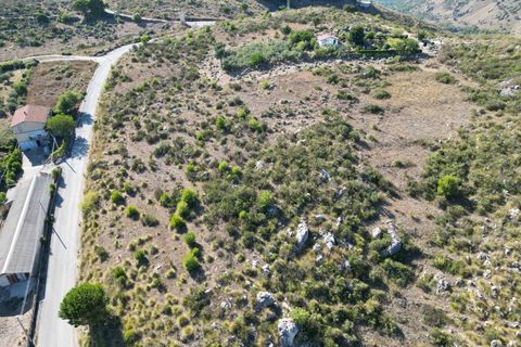 Terra a Altofonte, Palermo, Altofonte - € 5.000 | Ref: 3765 - foto 29
