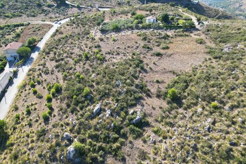 Terra a Altofonte, Palermo, Altofonte - € 5.000 | Ref: 3765 - foto 30