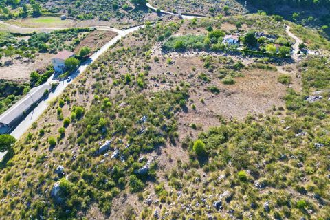 Terra a Altofonte, Palermo, Altofonte - € 5.000 | Ref: 3765 - foto 31