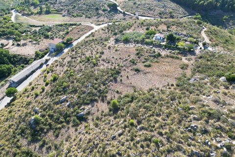 Terra a Altofonte, Palermo, Altofonte - € 5.000 | Ref: 3765 - foto 32