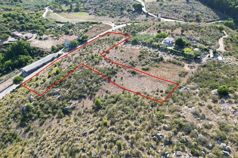 Terra a Altofonte, Palermo, Altofonte - € 5.000 | Ref: 3765 - foto 33