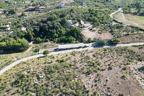 Terra a Altofonte, Palermo, Altofonte - € 5.000 | Ref: 3765 - foto 36