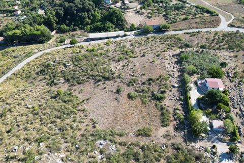 Terra a Altofonte, Palermo, Altofonte - € 5.000 | Ref: 3765 - foto 38