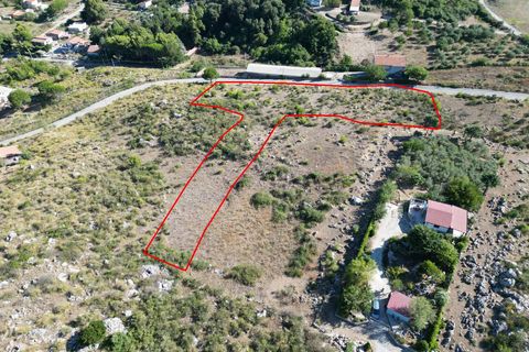 Terra a Altofonte, Palermo, Altofonte - € 5.000 | Ref: 3765 - foto 39