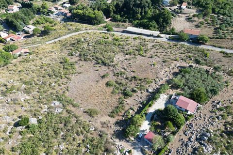 Terra a Altofonte, Palermo, Altofonte - € 5.000 | Ref: 3765 - foto 40