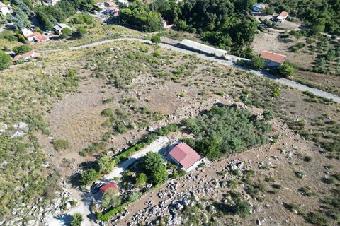 Terra a Altofonte, Palermo, Altofonte - € 5.000 | Ref: 3765 - foto 41