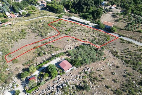 Terra a Altofonte, Palermo, Altofonte - € 5.000 | Ref: 3765 - foto 42