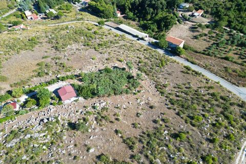 Terra a Altofonte, Palermo, Altofonte - € 5.000 | Ref: 3765 - foto 43