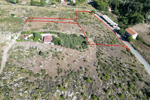 Terra a Altofonte, Palermo, Altofonte - € 5.000 | Ref: 3765 - foto 44