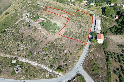 Terra a Altofonte, Palermo, Altofonte - € 5.000 | Ref: 3765 - foto 46