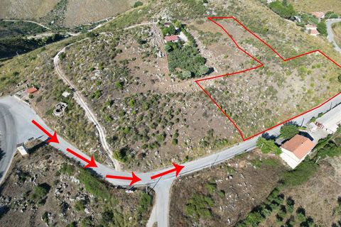 Terra a Altofonte, Palermo, Altofonte - € 5.000 | Ref: 3765 - foto 47