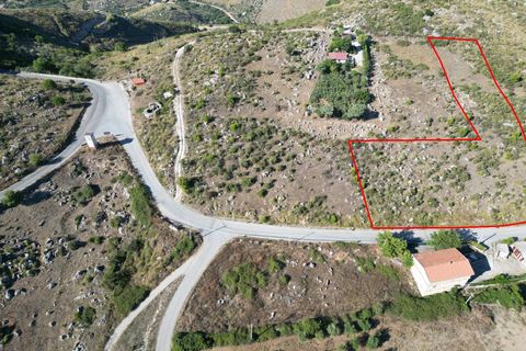 Terra a Altofonte, Palermo, Altofonte - € 5.000 | Ref: 3765 - foto 48