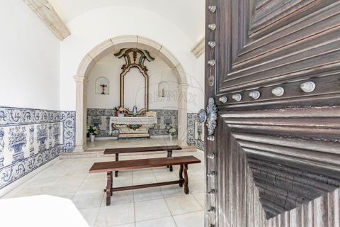 Farm i Redondo, Evora, Redondo - € 4.850.000 | Ref: PE-123751128-455 - foto 4