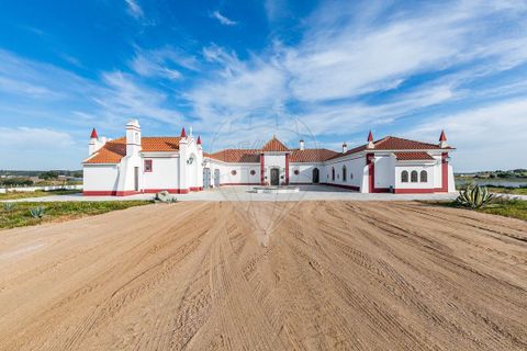Farm i Redondo, Evora, Redondo - € 4.850.000 | Ref: PE-123751128-455 - foto 10