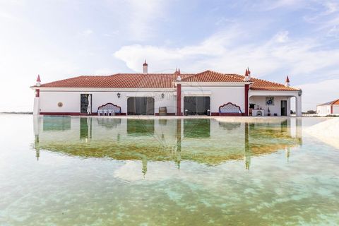Farm i Redondo, Evora, Redondo - € 4.850.000 | Ref: PE-123751128-455 - foto 21