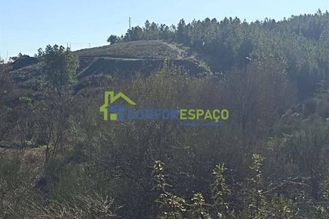 Helårsgrund i Castelo Branco, Castelo Branco, Castelo Branco - € 75.000 | Ref: 22010 - foto 1