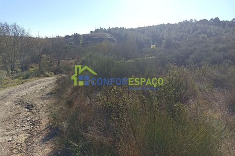 Helårsgrund i Castelo Branco, Castelo Branco, Castelo Branco - € 75.000 | Ref: 22010 - foto 3
