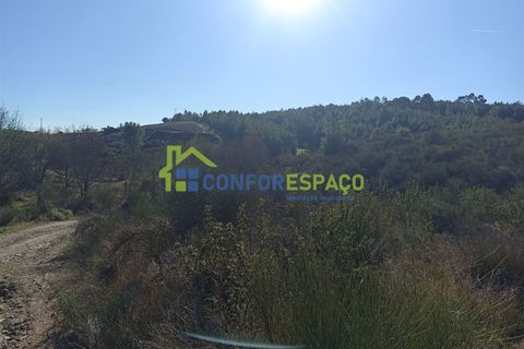 Helårsgrund i Castelo Branco, Castelo Branco, Castelo Branco - € 75.000 | Ref: 22010 - foto 4