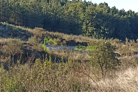 Helårsgrund i Castelo Branco, Castelo Branco, Castelo Branco - € 75.000 | Ref: 22010 - foto 5