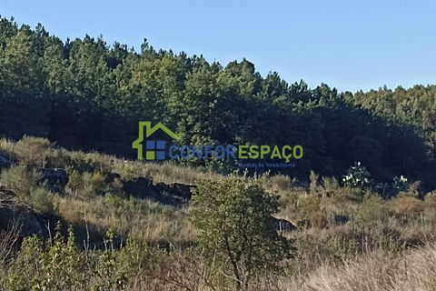 Helårsgrund i Castelo Branco, Castelo Branco, Castelo Branco - € 75.000 | Ref: 22010 - foto 6