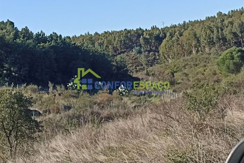 Helårsgrund i Castelo Branco, Castelo Branco, Castelo Branco - € 75.000 | Ref: 22010 - foto 8