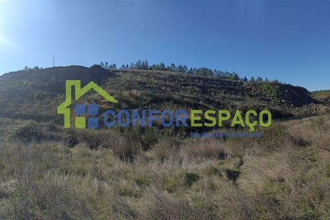 Helårsgrund i Castelo Branco, Castelo Branco, Castelo Branco - € 75.000 | Ref: 22010 - foto 9