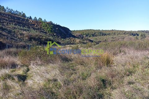 Helårsgrund i Castelo Branco, Castelo Branco, Castelo Branco - € 75.000 | Ref: 22010 - foto 10