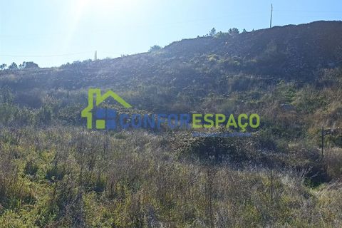 Helårsgrund i Castelo Branco, Castelo Branco, Castelo Branco - € 75.000 | Ref: 22010 - foto 12
