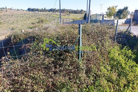 Helårsgrund i Castelo Branco, Castelo Branco, Castelo Branco - € 75.000 | Ref: 22010 - foto 13