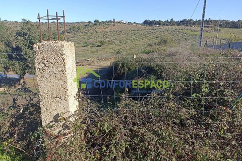 Helårsgrund i Castelo Branco, Castelo Branco, Castelo Branco - € 75.000 | Ref: 22010 - foto 14