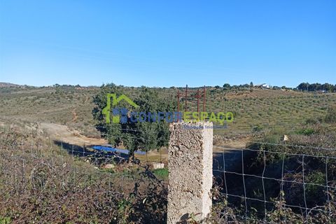 Helårsgrund i Castelo Branco, Castelo Branco, Castelo Branco - € 75.000 | Ref: 22010 - foto 16