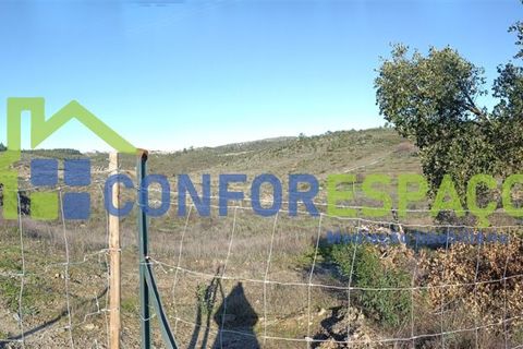 Helårsgrund i Castelo Branco, Castelo Branco, Castelo Branco - € 75.000 | Ref: 22010 - foto 17