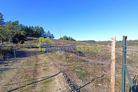 Helårsgrund i Castelo Branco, Castelo Branco, Castelo Branco - € 75.000 | Ref: 22010 - foto 18