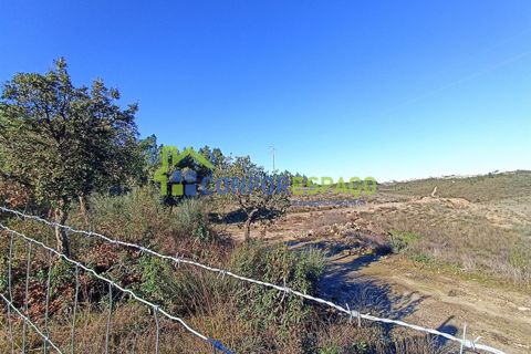 Helårsgrund i Castelo Branco, Castelo Branco, Castelo Branco - € 75.000 | Ref: 22010 - foto 19