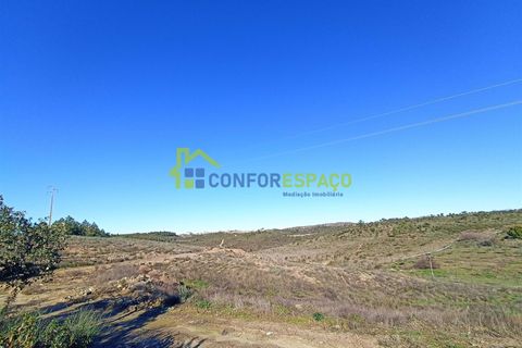Helårsgrund i Castelo Branco, Castelo Branco, Castelo Branco - € 75.000 | Ref: 22010 - foto 21